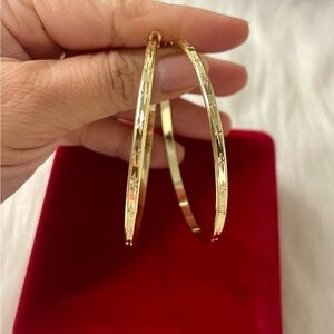 Elegant 14k Gold Filled Hoop Earrings